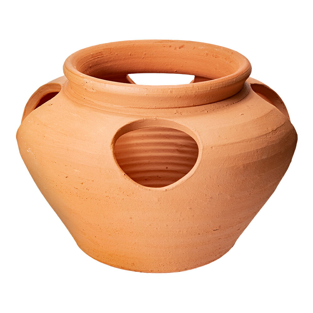 ストロベリーポット　CW1053　いちご栽培　家庭菜園　関東当日便のサムネイル