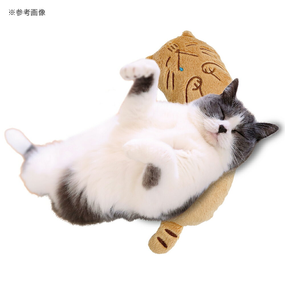 �����Τ��ˤ��̲��������ǭ���ؤ�ŷ������������