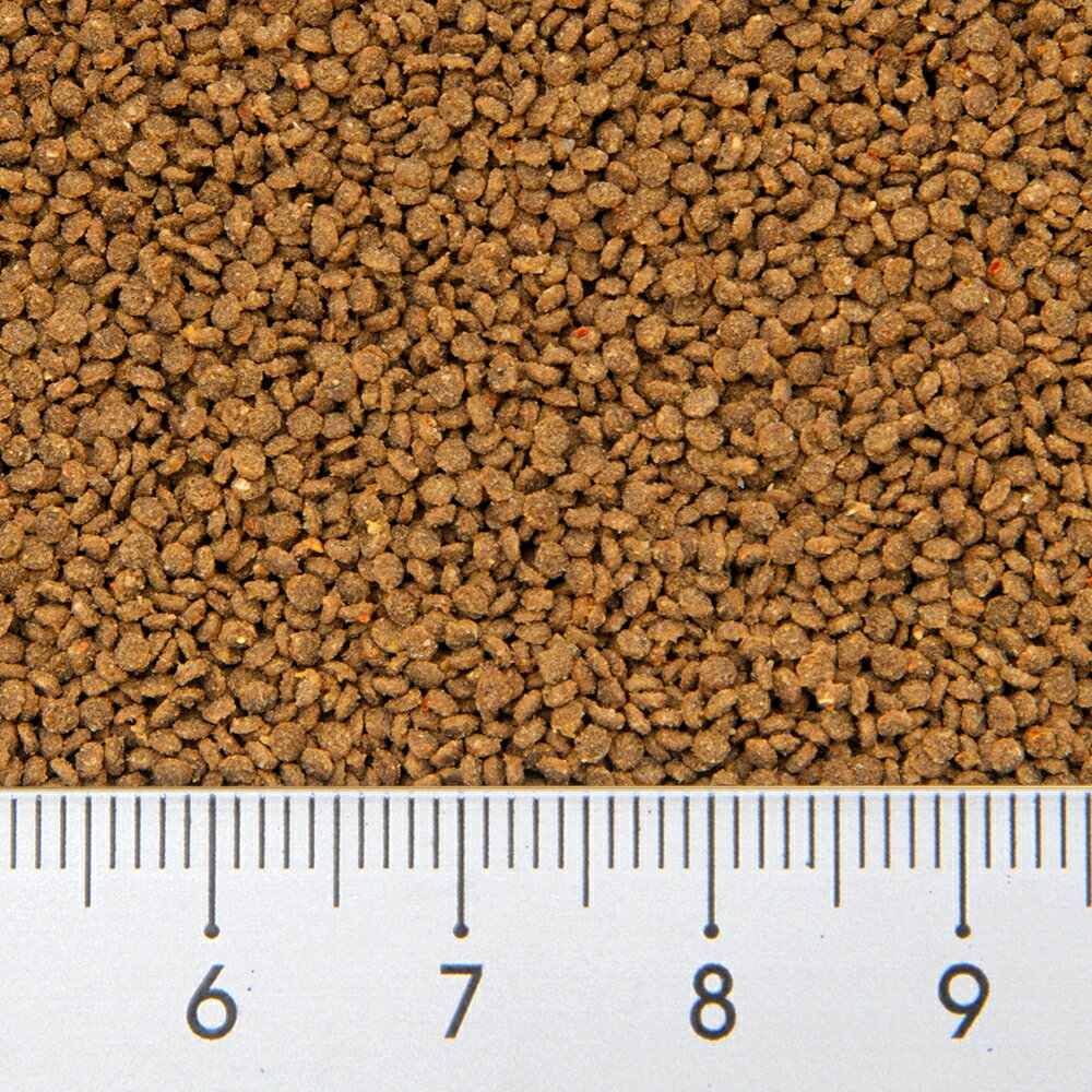キョーリン　パラクリア　ディスク　50g　金魚・コリドラス・熱帯魚　ハーブ　エラ...