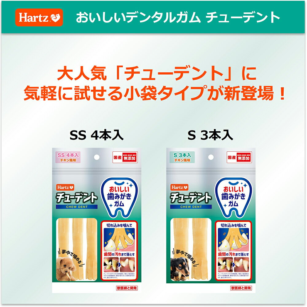 ハーツ　チューデント　S　3本入【HLS_DU】　関東当日便