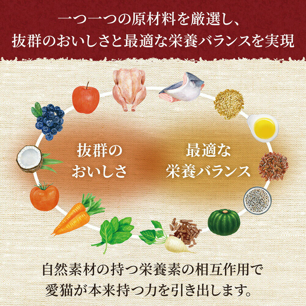 ニュートロ 猫 シュプレモ 成猫用 サーモン&...の紹介画像3