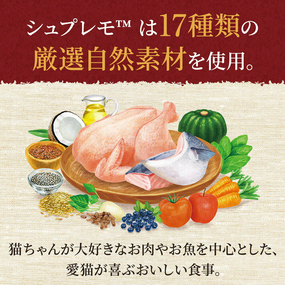 ニュートロ 子猫 シュプレモ 子猫用 チキン&...の紹介画像2