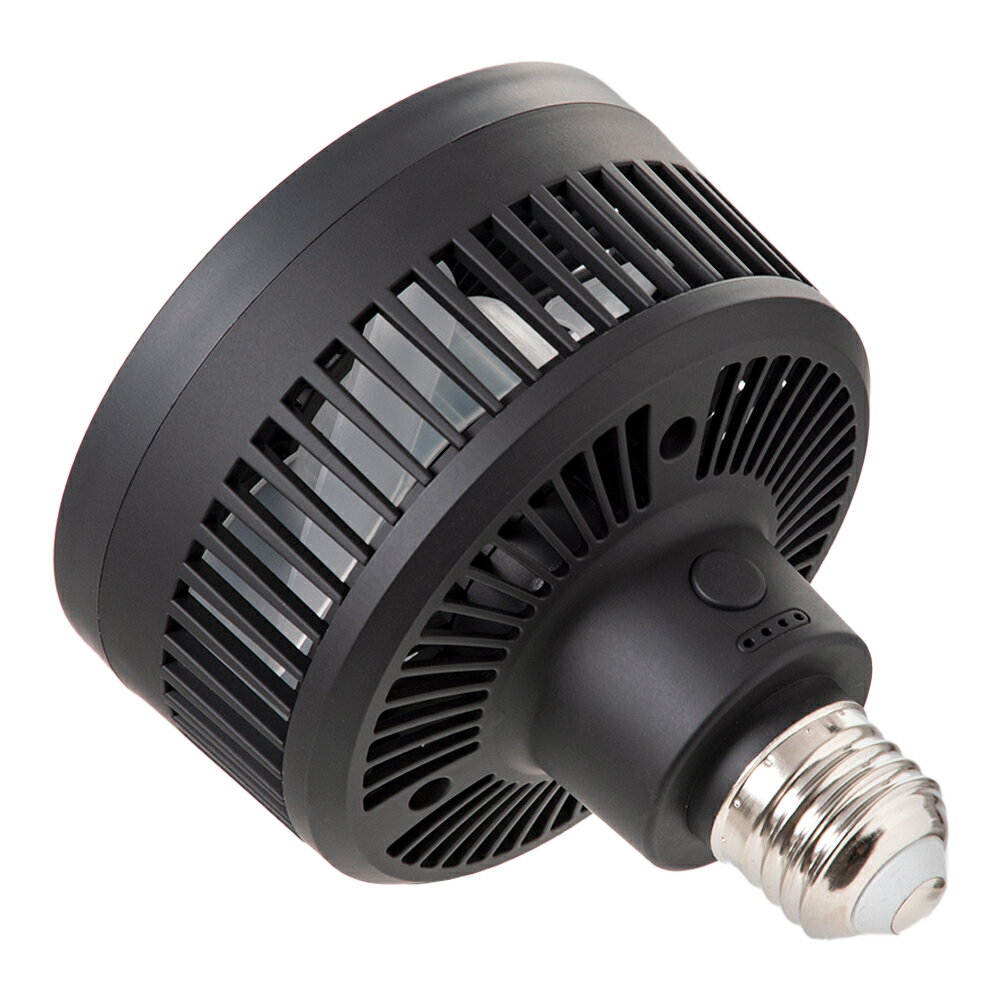 ��ʪ�ѥե���BARREL��Aechmea�������ᥢ���ޥåȥ֥�å���4W������E26������������