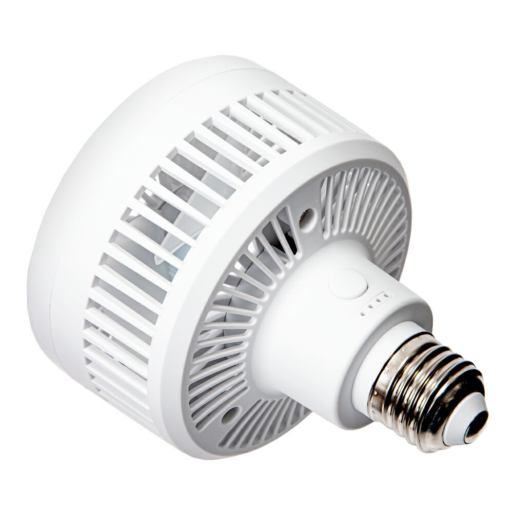 ��ʪ�ѥե���BARREL��Aechmea�������ᥢ���ޥåȥۥ磻�ȡ�4W������E26������������