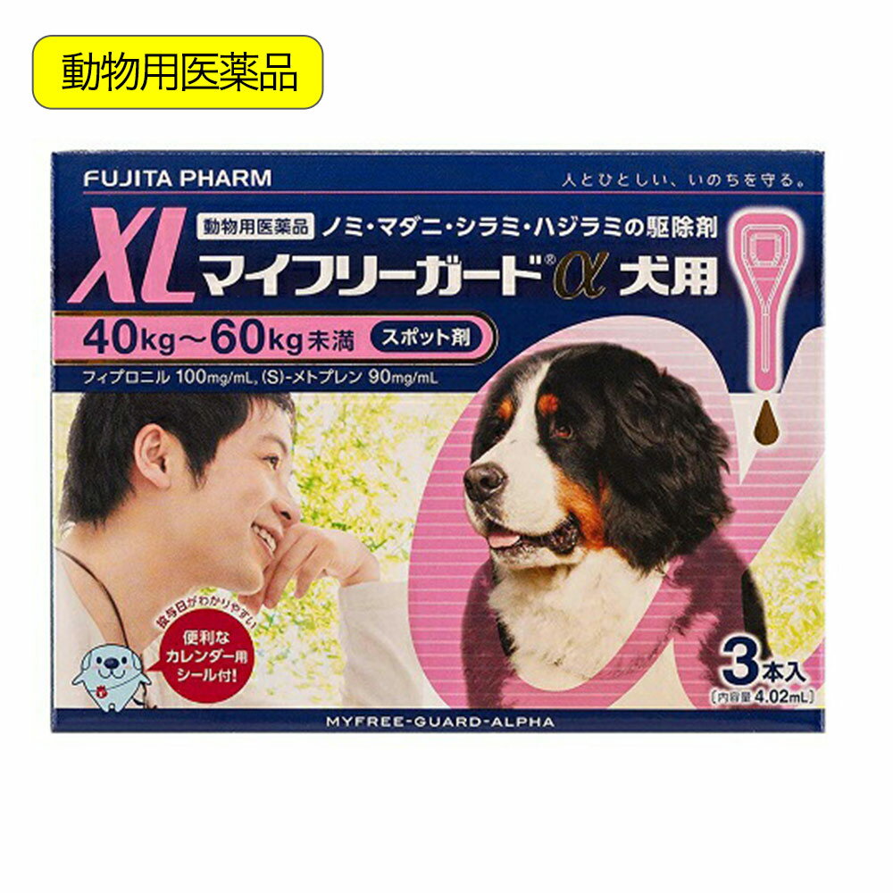 動物用医薬品 マイフリーガードα 犬用 XL 40～60kg未満 3本入 動物用医薬品【HLS_DU】 関東当日便