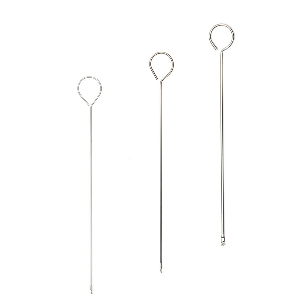 アイガー超精密ブラシ　EGB−1　3P　黒髭ゴケ除去　関東当日便