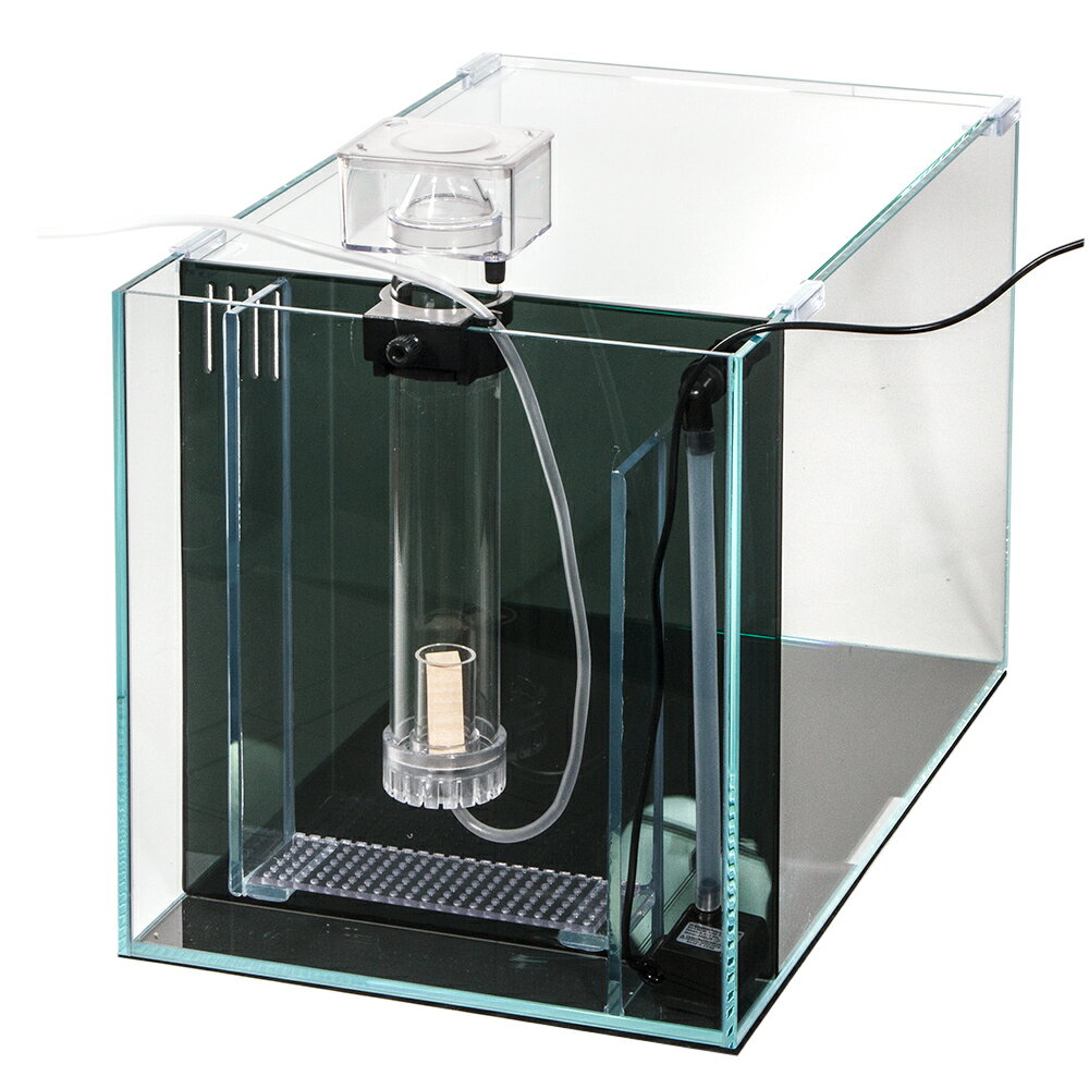 ���饹���塡��������45cm�����̥ե������塡�����ѡ����ꥢ��������6�����åȡ��������1���¤ꡡ����������