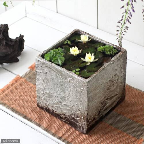 商品画像3