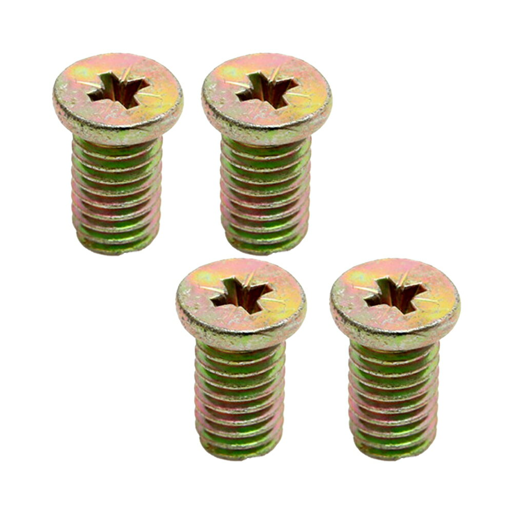 三晃商会 パンテオン共用 トップフレーム固定用ボルト E01KB 4個入り 関東当日便