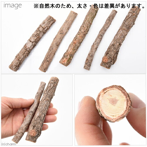 マルカン 昆虫のくつろぎ小枝 5本入 関東当日便の紹介画像2