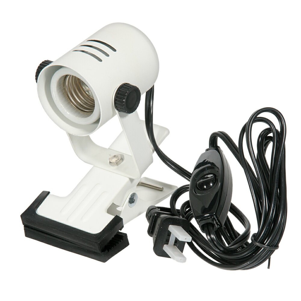 �ܥ륯������ѥ󡡥�ǥ�������åס�SX���ۥ磻�ȡ�����������