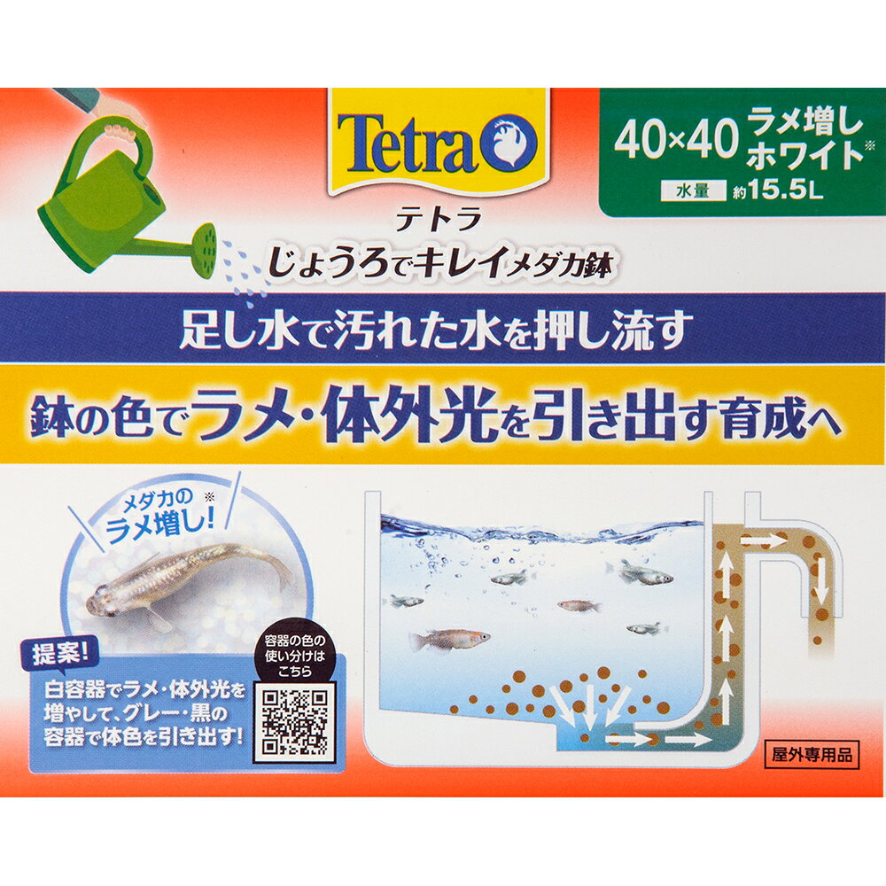 テトラ　じょうろでキレイメダカ鉢　40×40　ラメ増しホワイト　めだか　水槽　鉢　...