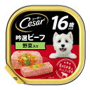 シーザー 16歳からの 吟選ビーフ 野菜入り 100g×24個 ドッグフード 関東当日便