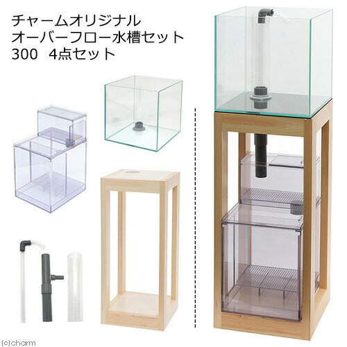 楽天市場】30cm オーバーフロー水槽の通販 楽天市場】30cm オーバーフロー水槽の通販