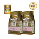 ニュートロ 子猫 キャット ワイルド レシピ キトン チキン 子猫用 2kg×2袋 + ワイルド レシピ パウチ おまけ付 関東当日便