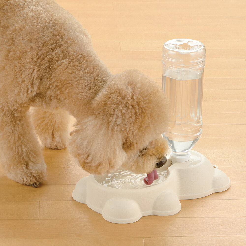 �����ȥ�å��ʡ���å����롡N�����������ե��������������ܥ꡼�������ʡ�ǭ���ʡ�����ǭ������߻��������ꡡ����������