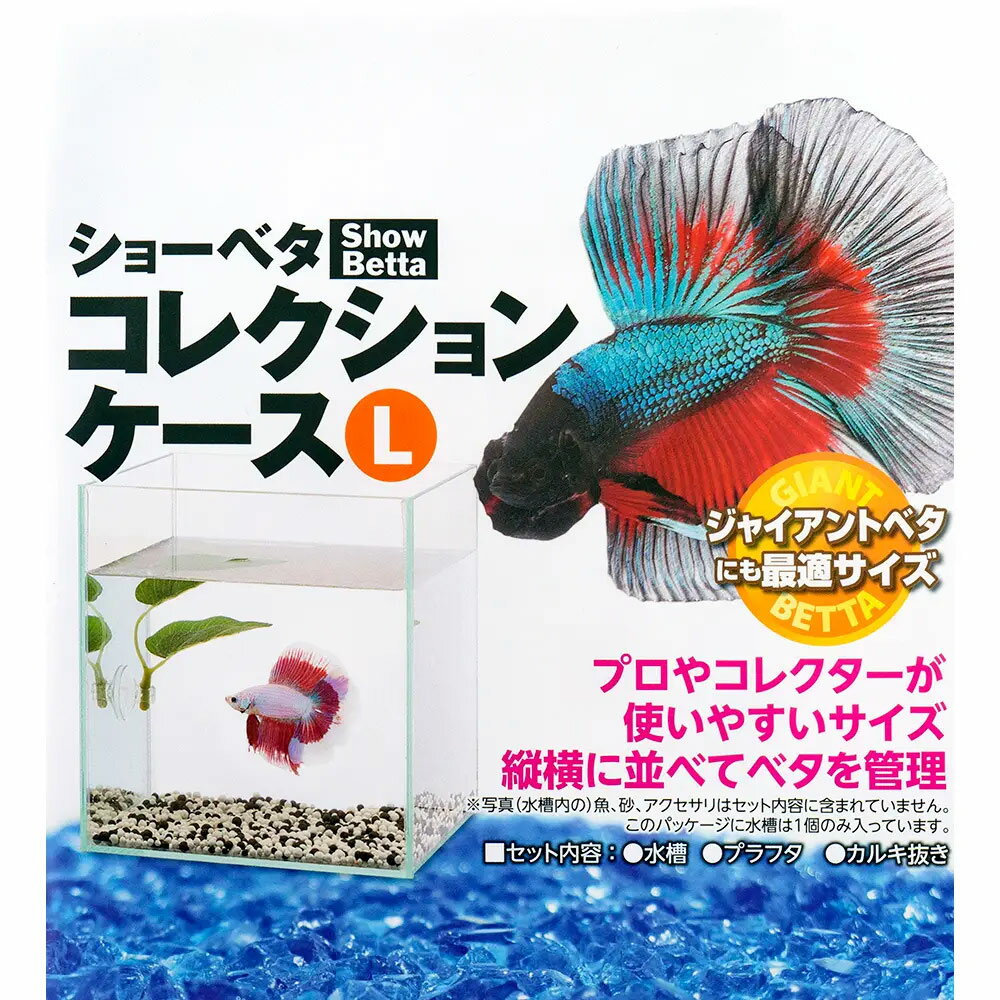 �����硼�٥������쥯����󥱡�����L����3�ġ��٥������塡�������塡���饹���塡����������