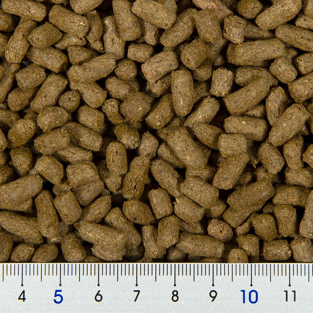 charm 楽天市場店のメディマル　エクセル　ラビット　アダルトwithオレガノ　500g　うさぎ　餌　フード　関東当日便｜アングル2