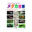 メダカ百華 Vol.16 関東当日便