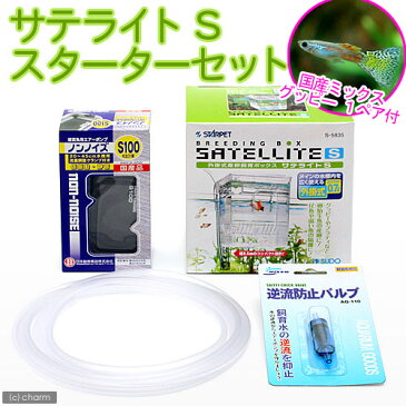 （熱帯魚）外掛式産卵飼育ボックス　サテライトS　スターターセット　国産ミックスグッピー　1ペア　付　本州四国限定