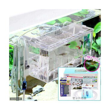 (熱帯魚)外掛式産卵飼育ボックス サテライトL スターターセット 国産ミックスグッピー 1ペア 付 本州四国限定