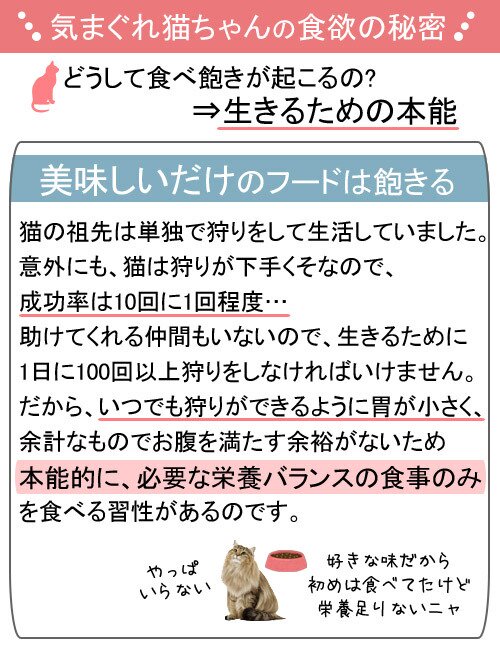 ロイヤルカナン　猫　ヘアー＆スキンケア　健康で美しい皮膚・被毛を維持したい成猫用　85g×12　9003579308929　お一人様5点限り　関東当日便 chanet-10224676 charm 楽天市場店 サンプル画像3