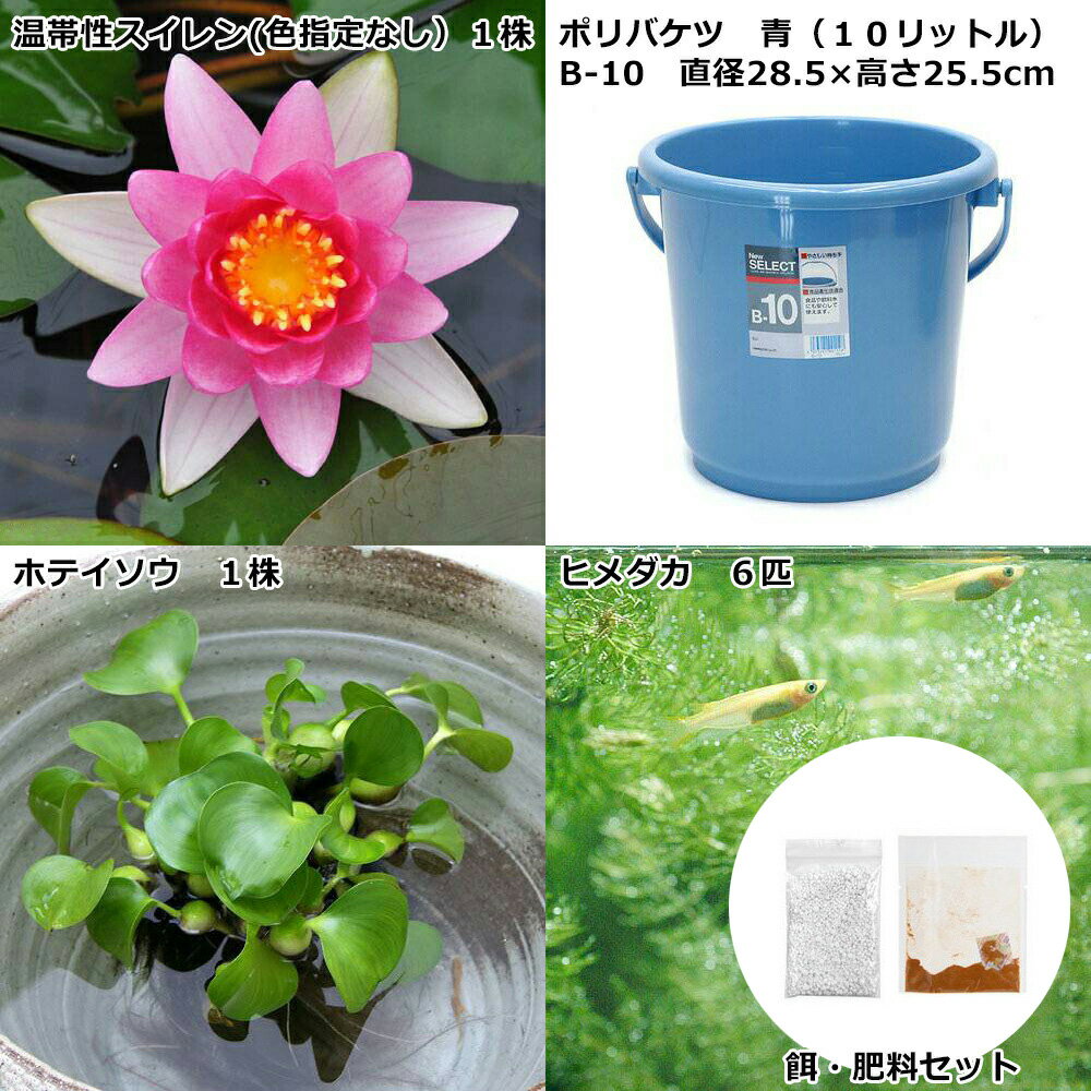 �ʥӥ��ȡ��סˡʤ�����˻�Υ����ǥ󡡡��Х���DE�������ʲ������ˡ����������ա��ܽ��͹���ꡡ�������2���¤�