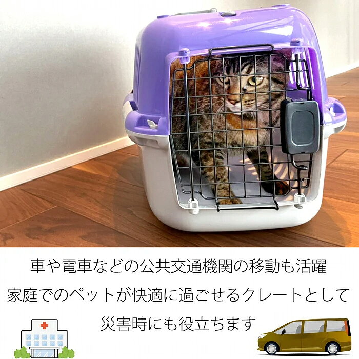 アウトレット品　ファンタジーワールド　ファンタジーキャリー　オープン　S　パー...