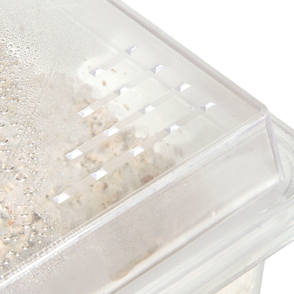 �ݻ��������桡1400���ݻ�����ץ饱�����������ҥ饿��