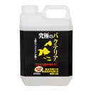 B－blast　究極のバクテリア　2000ml【HLS_DU】　関東当日便