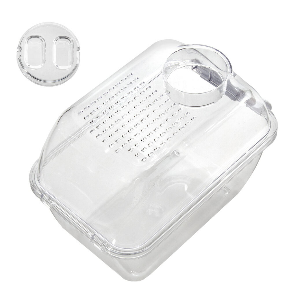 �������񡡥ǥ���������ӥ��åȡ�����������