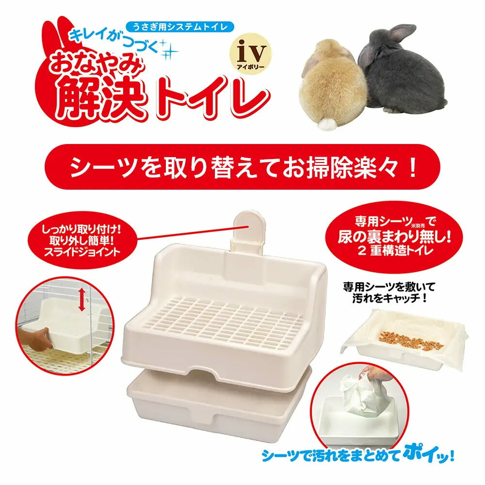 �������񡡤��ʤ�߲�衡�ȥ������Ρ����������ȥ��åȡ�IV�ʥ����ܥ꡼�ˡ�����������