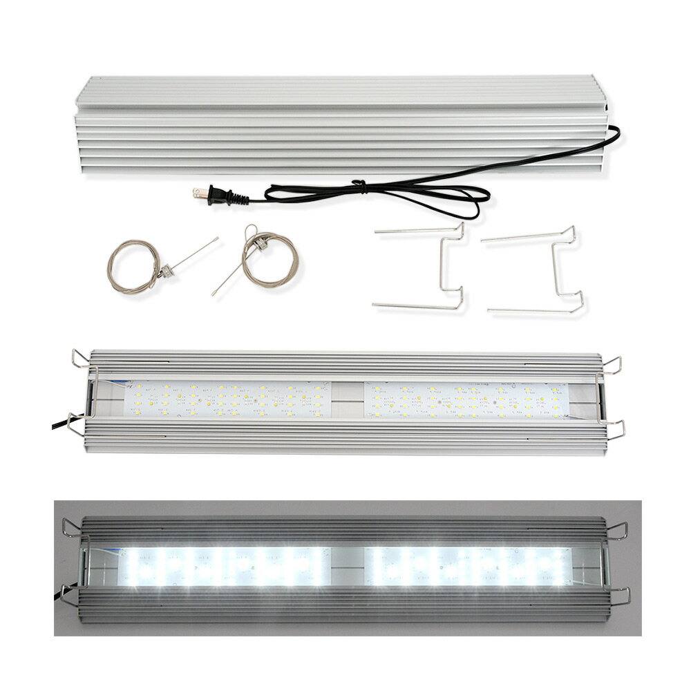 ��������TRIANGLE��LED��BRIGHT��Pro��600�ܲ���ȿ����CO2�����ͥ졼�������åȡ��������������°������������