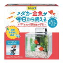 テトラ おさかな飼育 静かなセット PL−17SF 17×23×21cm 水槽セット 関東当日便