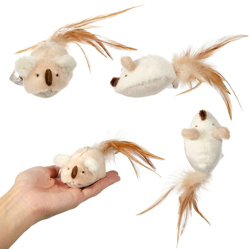 ����ᥤ�ȡ��ե��������ƥ���ɡ��ޥ����������ޤ�����ǭ�Ѥ�����㡡�ͥ��ߡ�����������