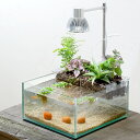 (めだか)(水草)水作 アクアテリア メダカ飼育レイアウトセット N190 本州・四国限定