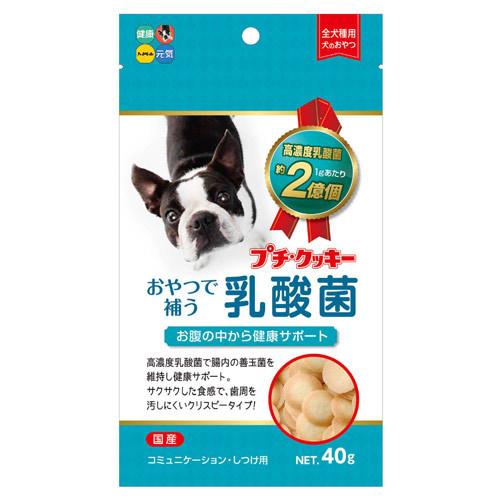 ハイペット　プチ・クッキー　乳酸菌　40g　犬　おやつ　クッキー　国産【HLS_DU】　関東当日便