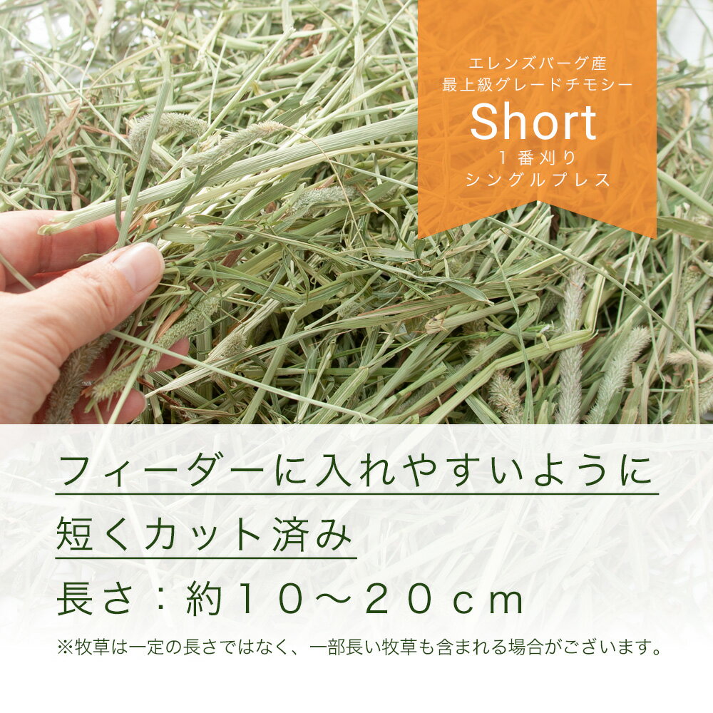 30年産新刈　スーパープレミアムホースチモシー　ショート　600g＋アペックス　ペットのみず　2L　お一人様10点限り　関東当日便