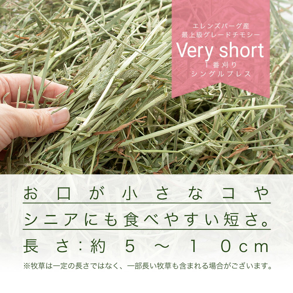 30年産新刈　スーパープレミアムホースチモシー　ベリーショート　600g＋アペックス　ペットのみず　2Lセット　関東当日便