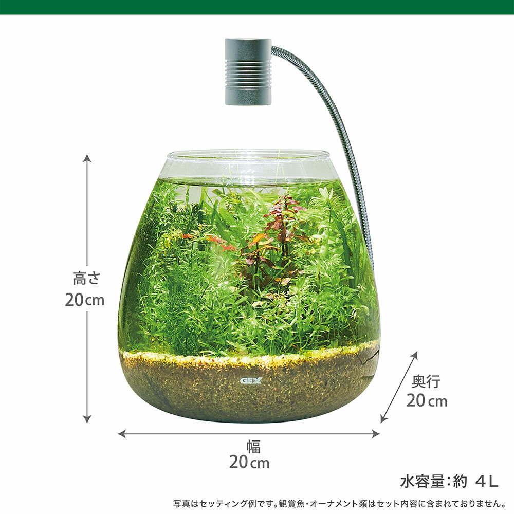 GEX　水槽セット　MeGreen　新鮮な水草付き　グラスティアーセット　小型水槽　関東当日便 3