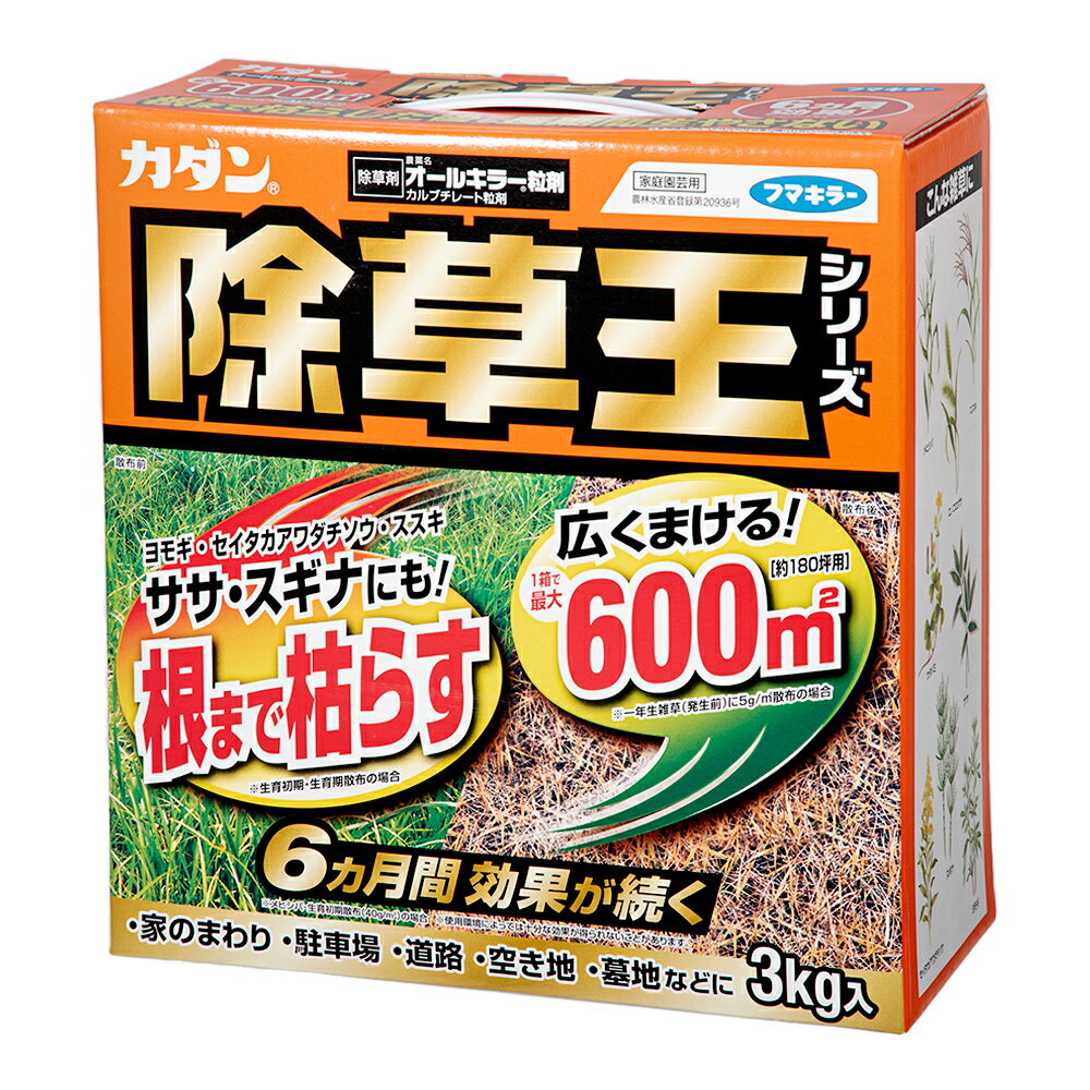 フマキラー　カダン　除草王　オールキラー粒剤　3kg　除草剤　6ヵ月効果が続　ササ　スギナ【HLS_DU】　関東当日便