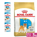 【送料無料】ロイヤルカナン 生後10カ月齢までの子犬 ウェット3袋+柴犬 子犬用 3kg ジップ付 お一人様1点限り 関東当日便