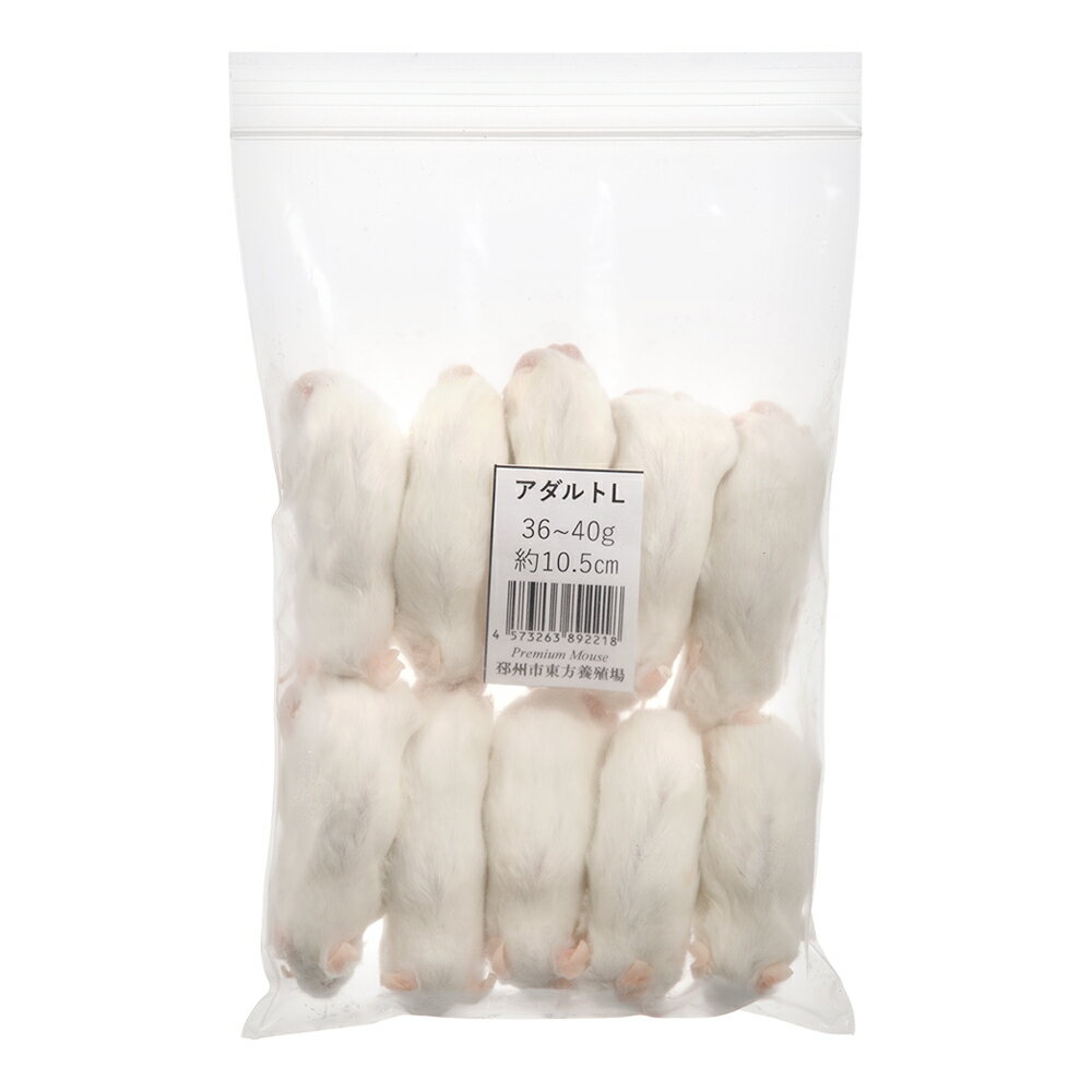 冷凍★SPFマウス アダルトマウスL(10匹) (約10.5cm・36〜40g) 冷凍マウス 高品質 別途クール手数料 常温商品同梱不可