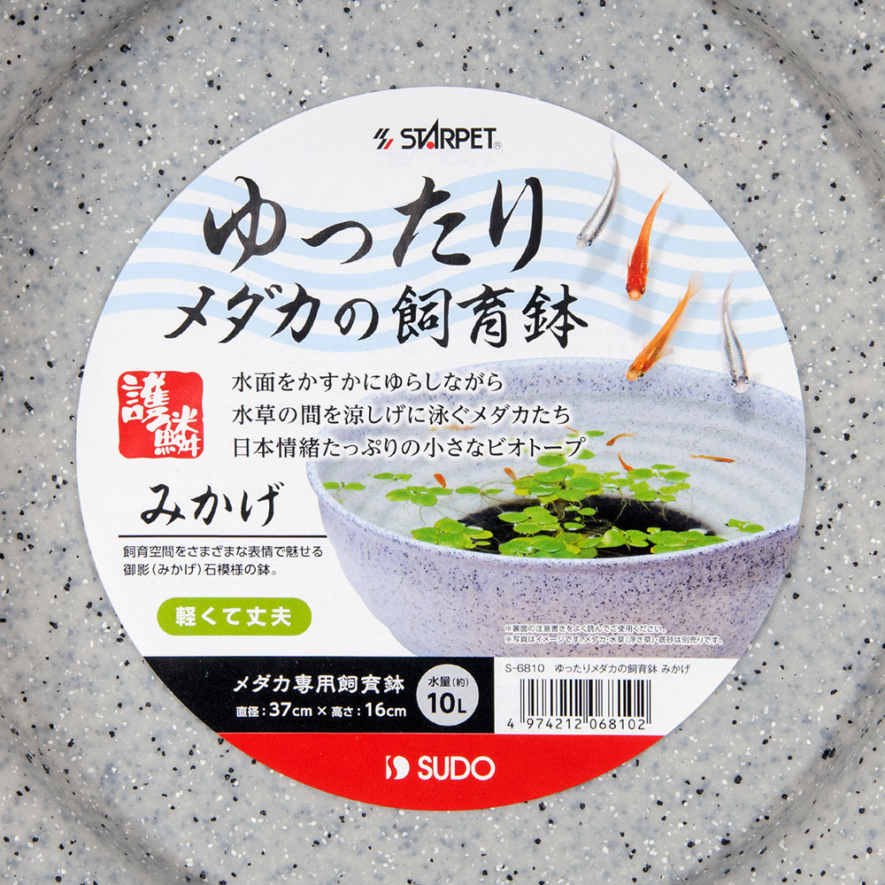 ���ɡ�����ä��������λ���ȭ���ߤ���������������