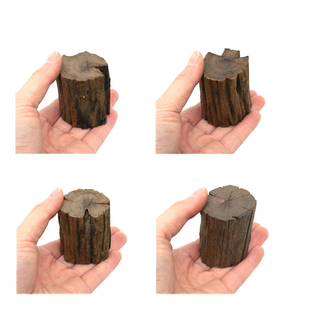 ������Ǥ�����ѹ��ߺѤߡ��ڤ��ή�ڡ�S����������2��5��4��5cm�ˡ�High�����ס�3�ܡ��쥤�������Ǻࡡή�ڡ�����������