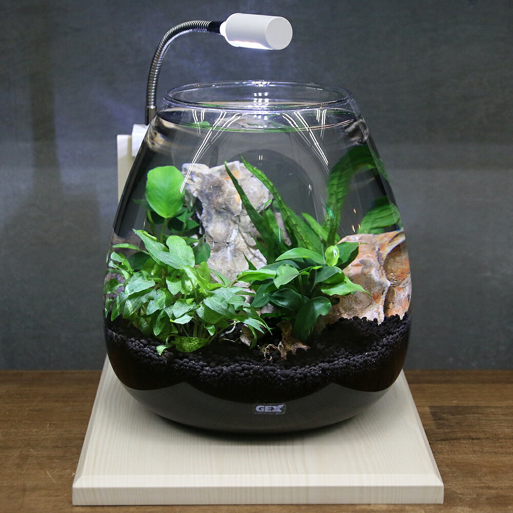 （水草）GEX　グラスアクア　ティアー　N　水草レイアウトセット　グラスベース　ホワイトアッシュ20 ...