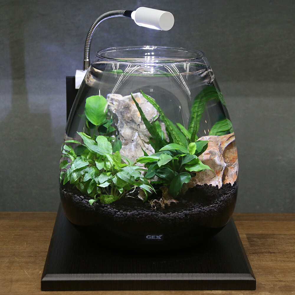 （水草）GEX　グラスアクア　ティアー　N　水草レイアウトセット　グラスベース　エボニー200　本州 ...