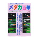 メダカ百華 Vol.17 関東当日便