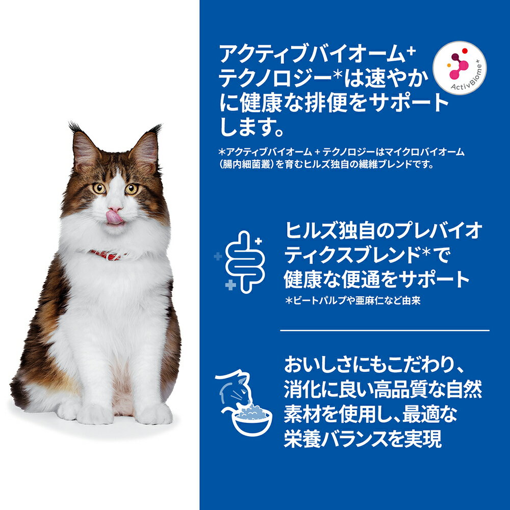 サンプル画像2