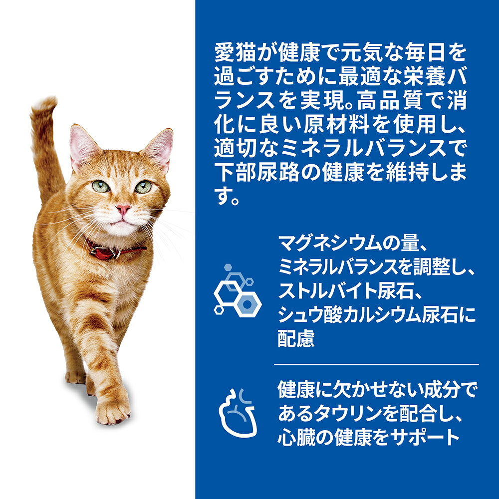 キャットフード　ヒルズ　サイエンスダイエット　パウチ　猫用　シニア　7歳以上　サーモン　85g×24袋　関東当日便 chanet-11135878 charm 楽天市場店 サンプル画像2